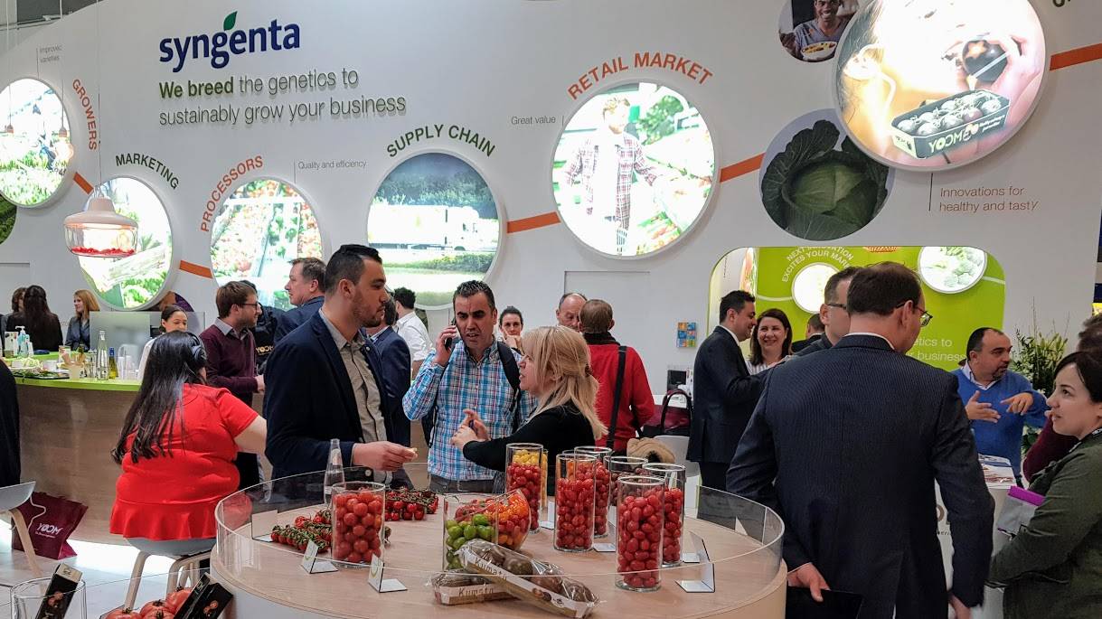 Syngenta-FruitLogistica-2020|syngenta logo|porta|portada 2|productos|cultivos|plagas y enfermedades